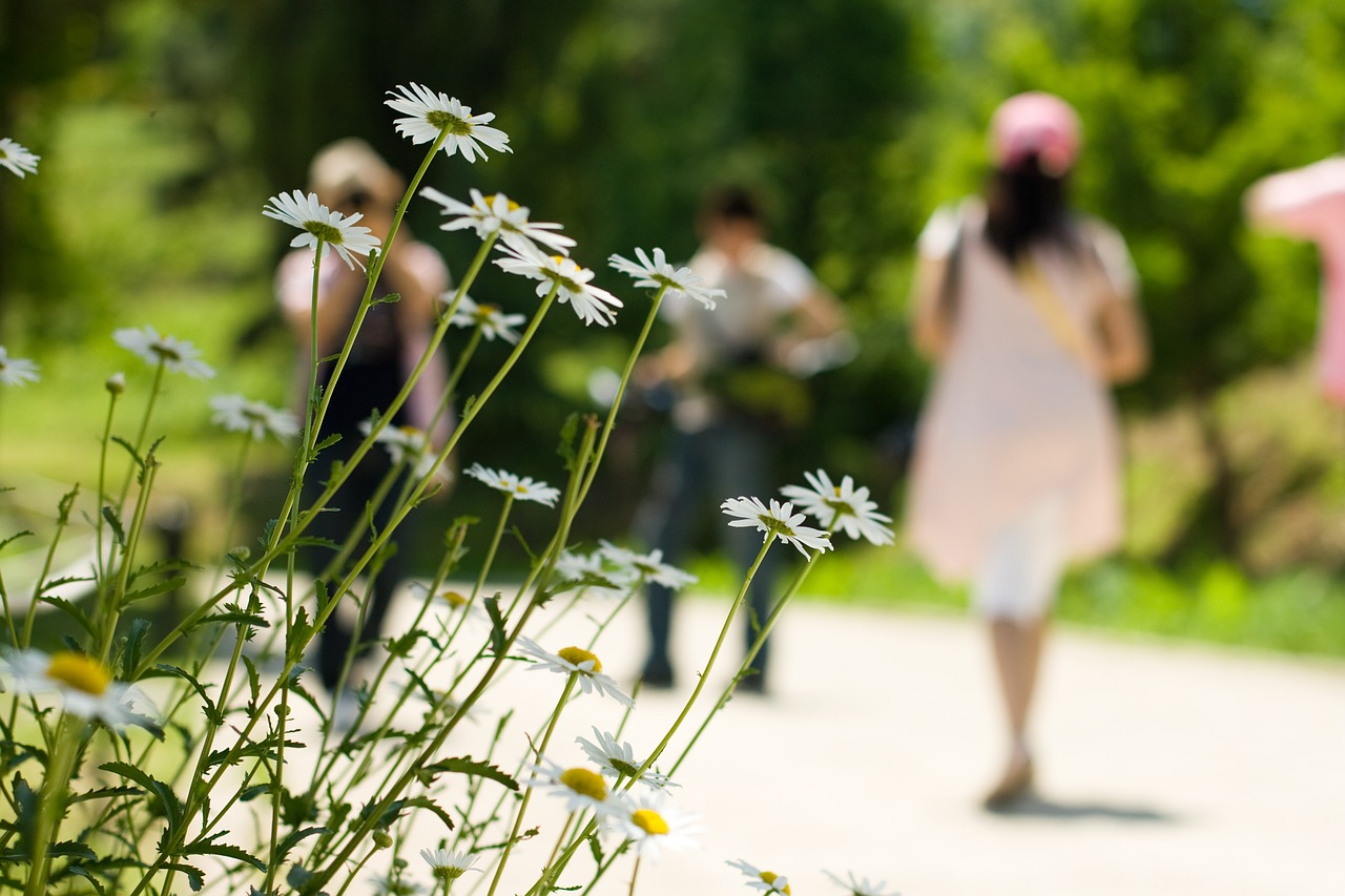 walk-810247_1280